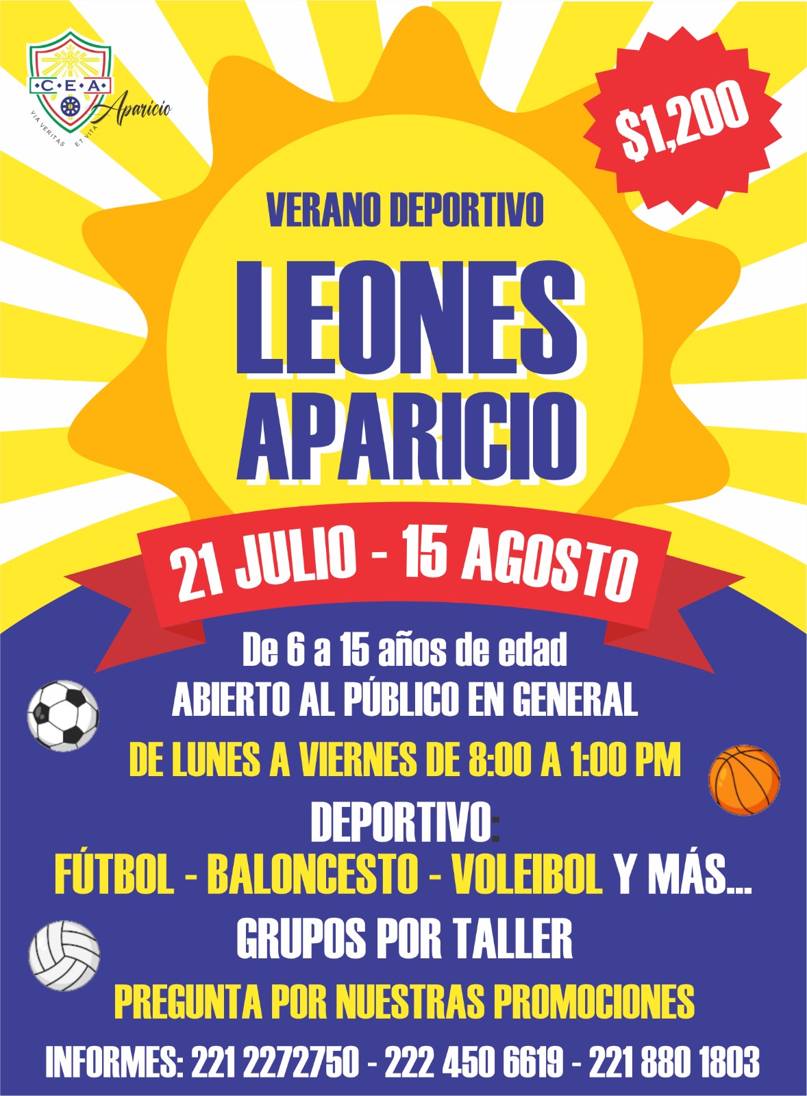 Cursos de Verano 2025
