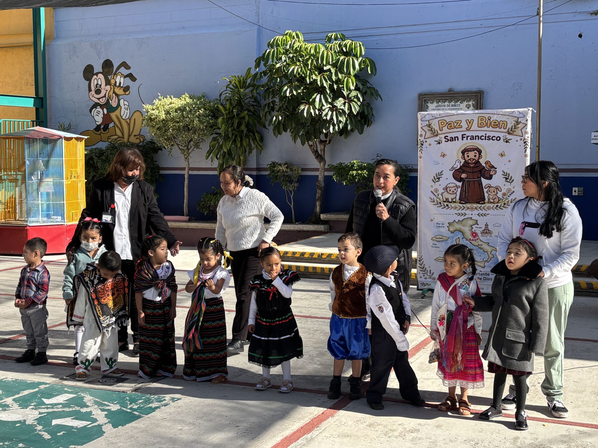 Plástica a San Francisco de Asís 2026